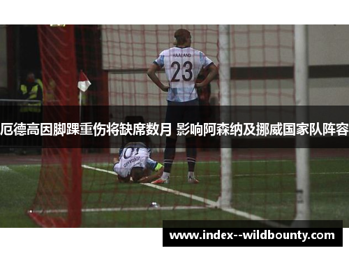 厄德高因脚踝重伤将缺席数月 影响阿森纳及挪威国家队阵容